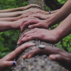 ensemble avec l'arbre